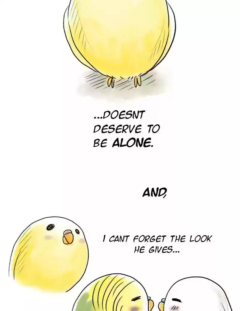 A Budgie's Life Chapter 46: Ep.46: