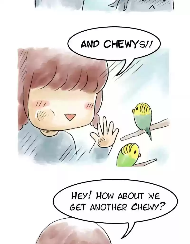 A Budgie's Life Chapter 46: Ep.46: