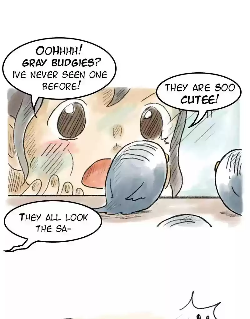 A Budgie's Life Chapter 46: Ep.46: