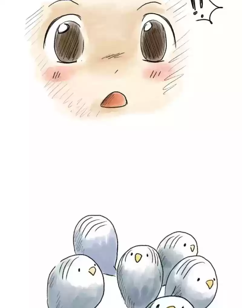 A Budgie's Life Chapter 46: Ep.46: