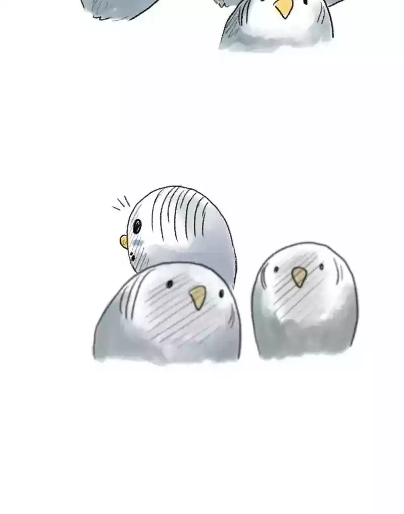 A Budgie's Life Chapter 46: Ep.46: