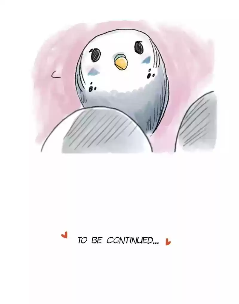 A Budgie's Life Chapter 46: Ep.46:
