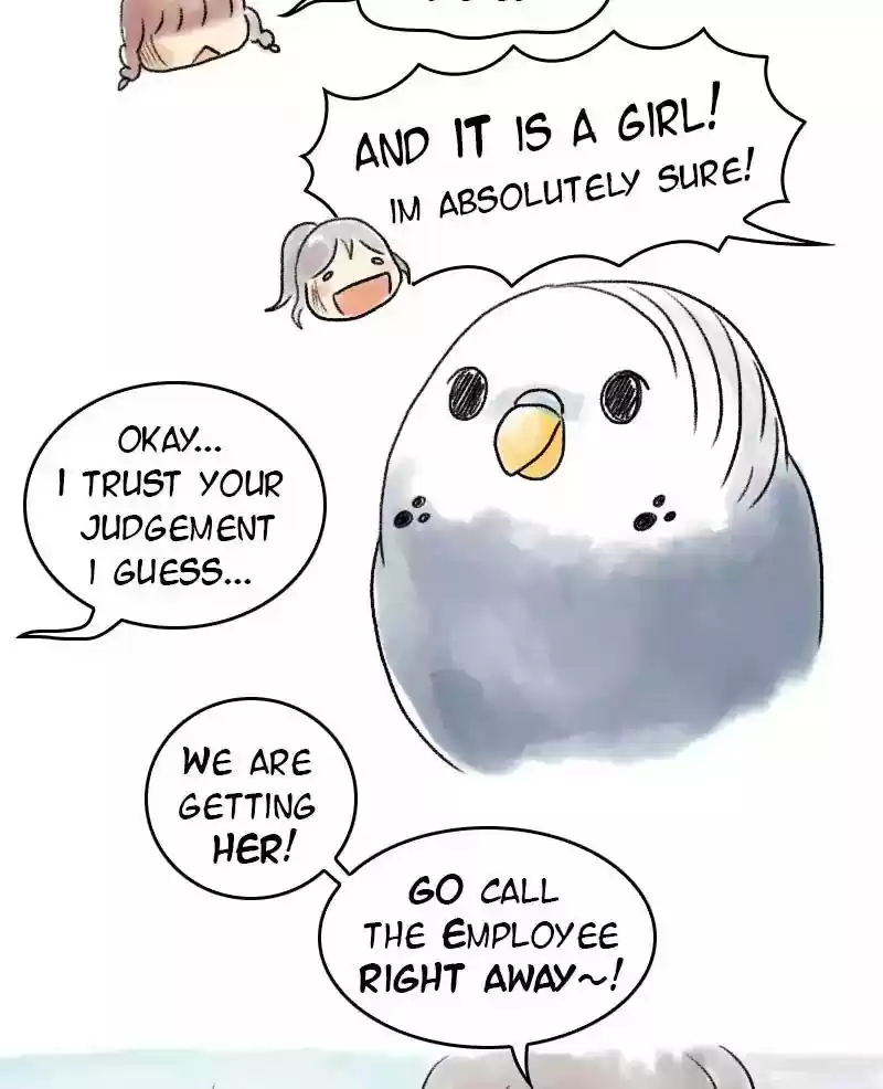 A Budgie's Life Chapter 47: Ep.47: