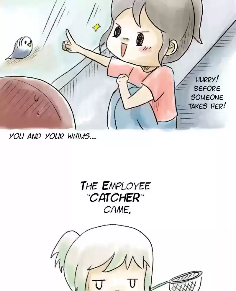 A Budgie's Life Chapter 47: Ep.47: