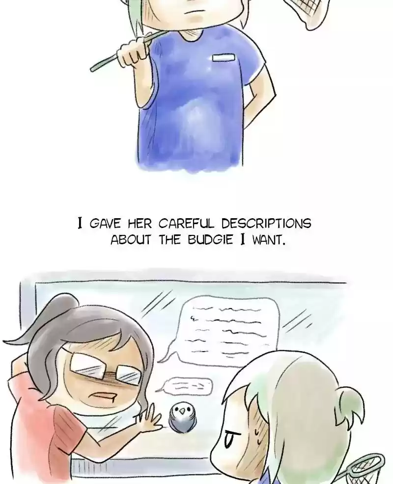 A Budgie's Life Chapter 47: Ep.47: