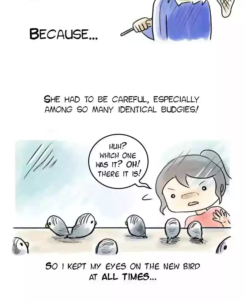 A Budgie's Life Chapter 47: Ep.47: