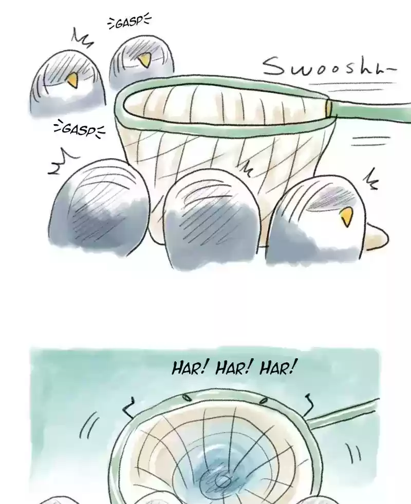 A Budgie's Life Chapter 47: Ep.47: