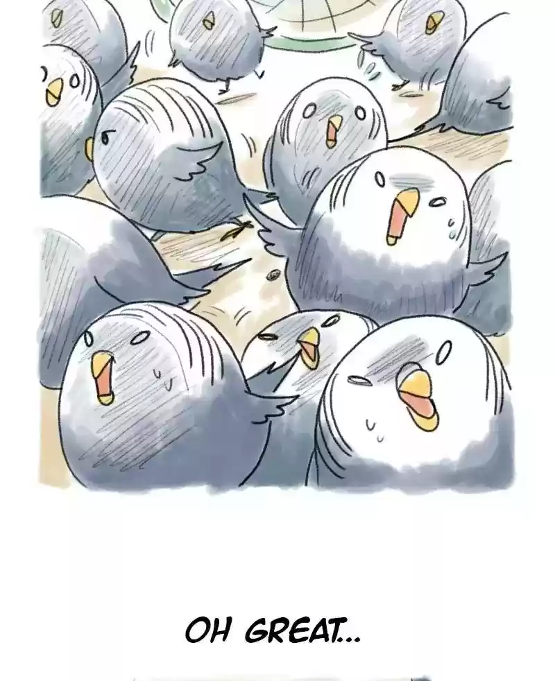 A Budgie's Life Chapter 47: Ep.47: