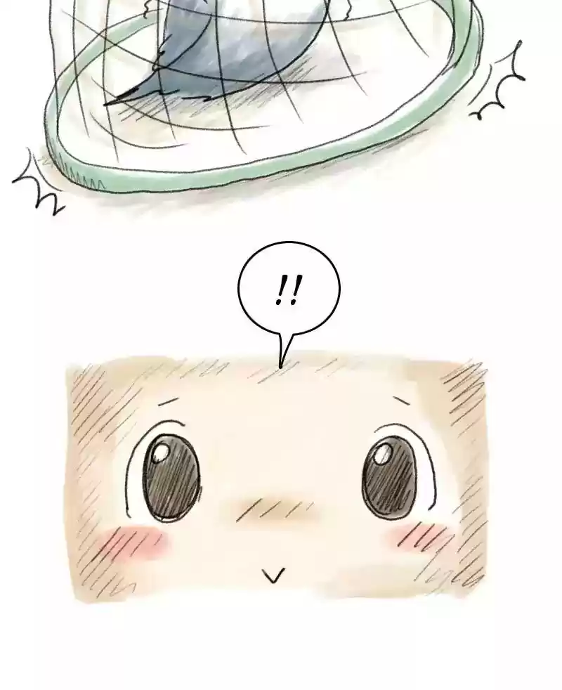 A Budgie's Life Chapter 47: Ep.47: