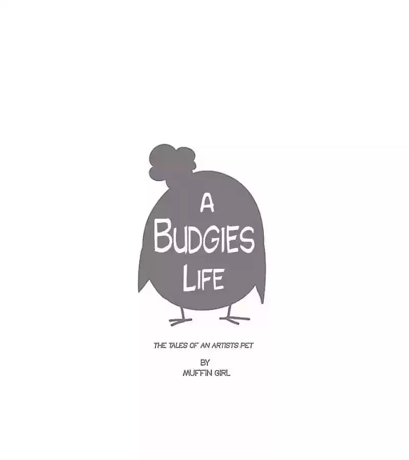 A Budgie's Life Chapter 47: Ep.47: