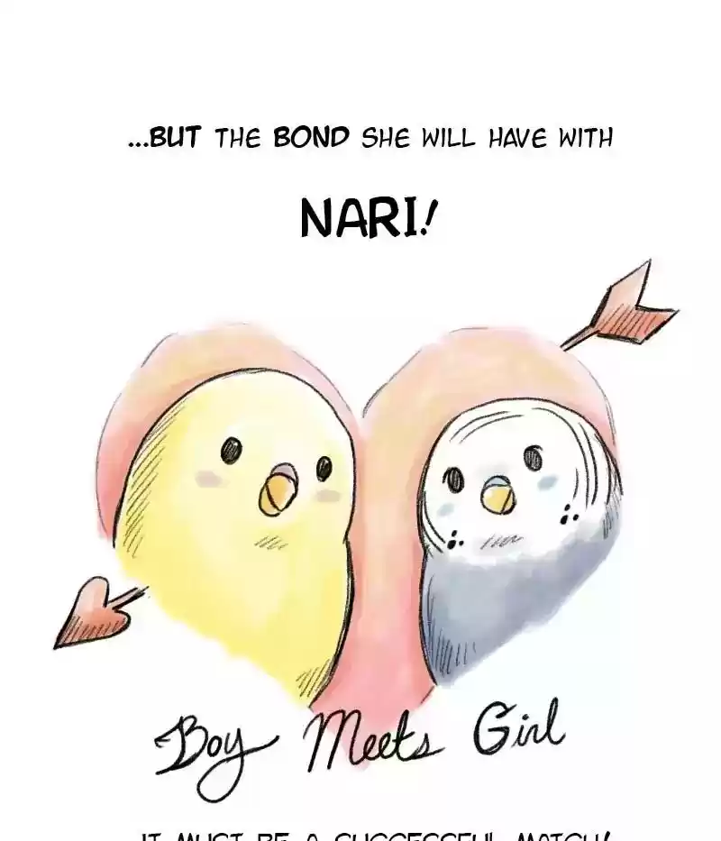 A Budgie's Life Chapter 48: Ep.48: