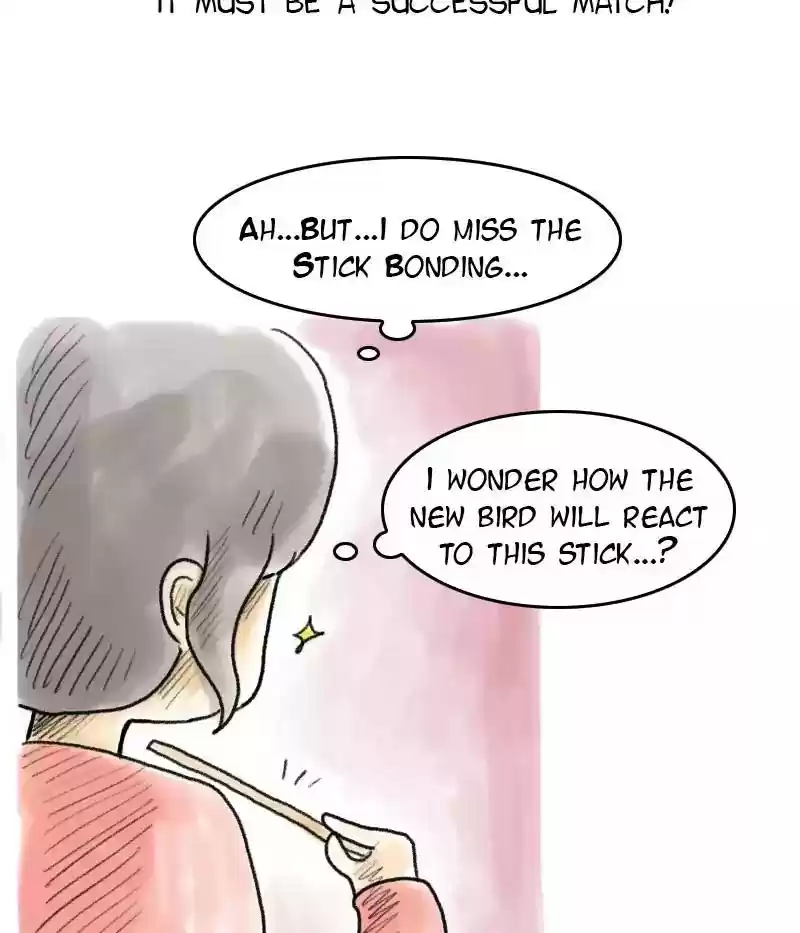A Budgie's Life Chapter 48: Ep.48:
