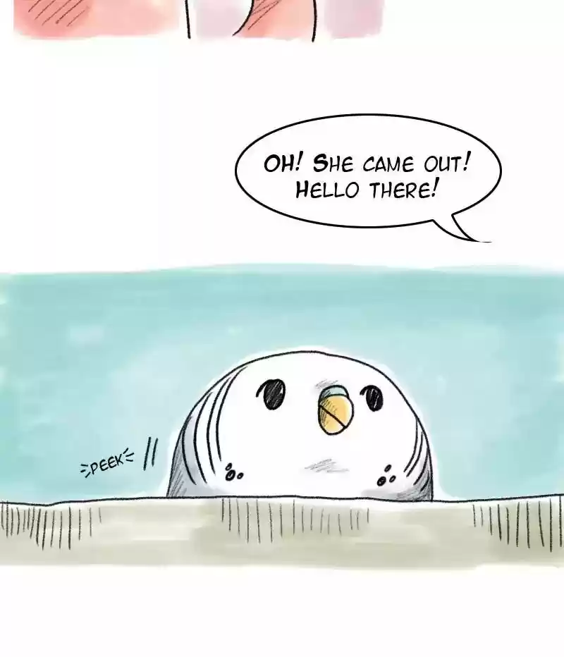 A Budgie's Life Chapter 48: Ep.48: