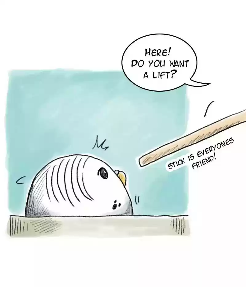 A Budgie's Life Chapter 48: Ep.48: