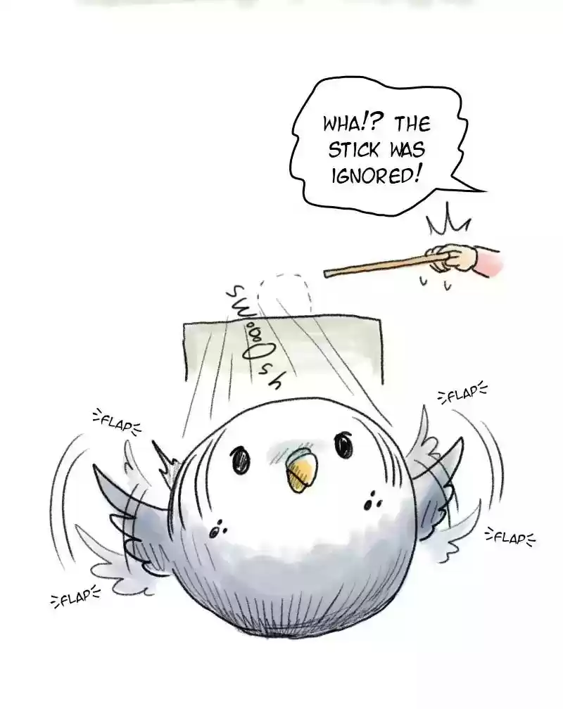 A Budgie's Life Chapter 48: Ep.48: