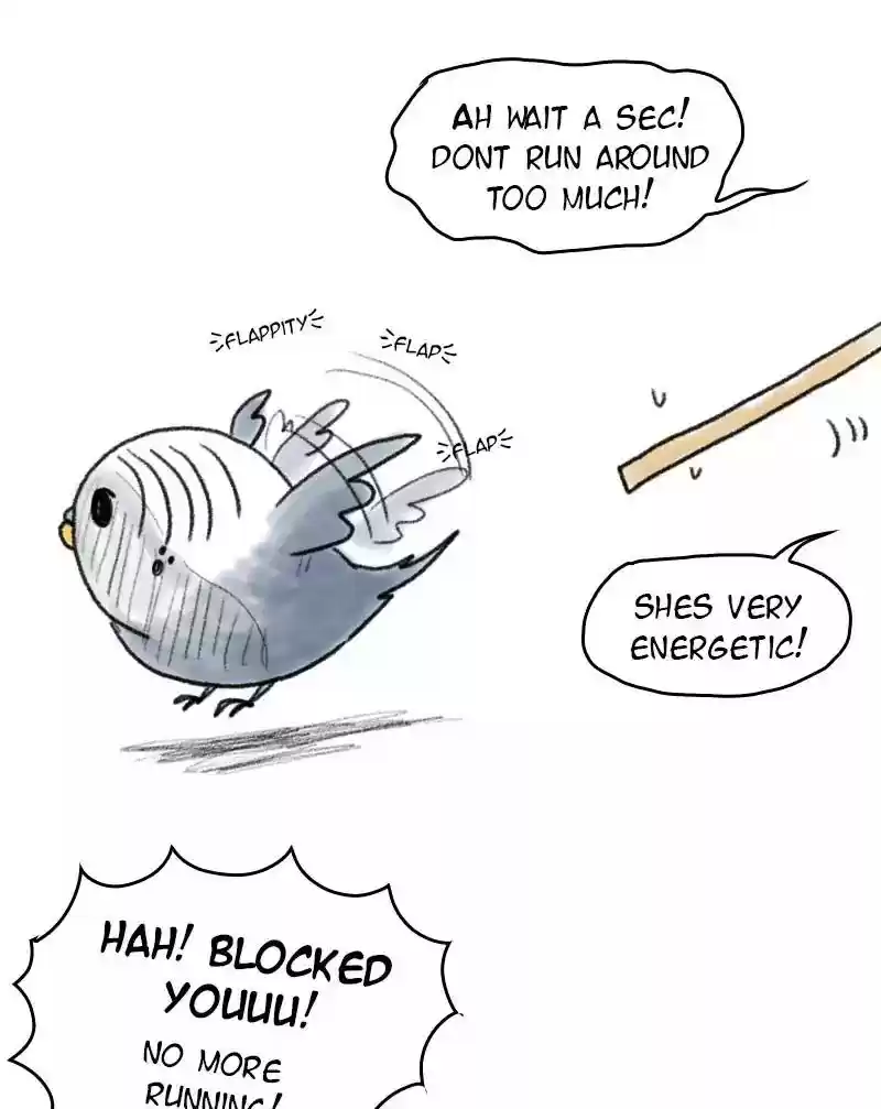 A Budgie's Life Chapter 48: Ep.48: