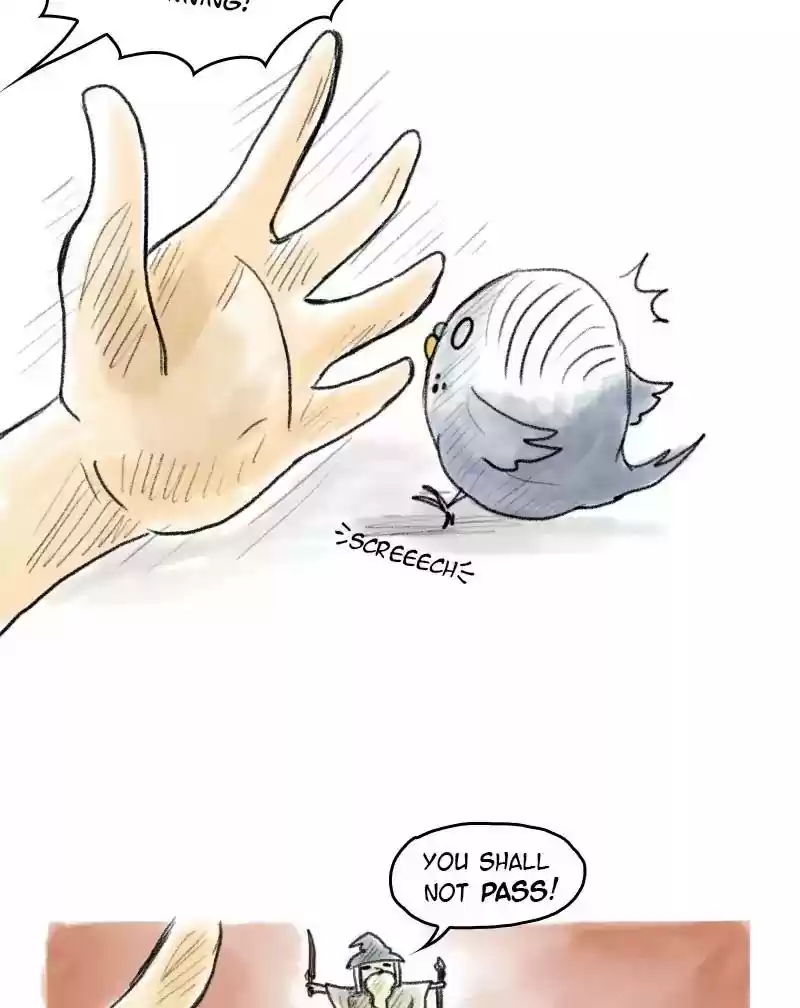 A Budgie's Life Chapter 48: Ep.48: