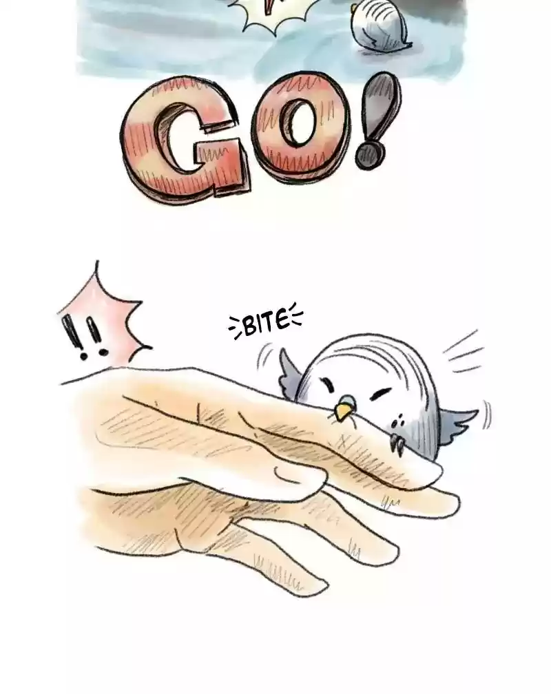 A Budgie's Life Chapter 48: Ep.48: