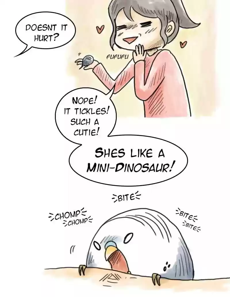 A Budgie's Life Chapter 48: Ep.48: