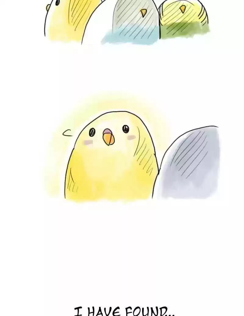 A Budgie's Life Chapter 48: Ep.48: