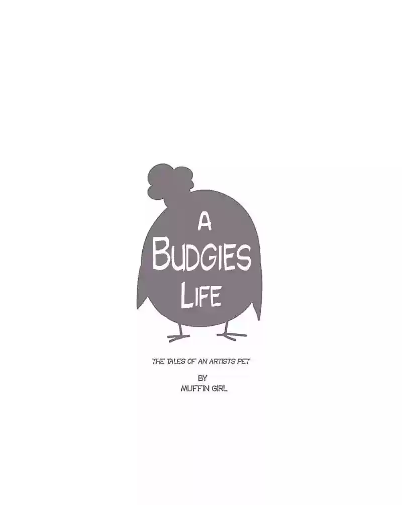 A Budgie's Life Chapter 48: Ep.48: