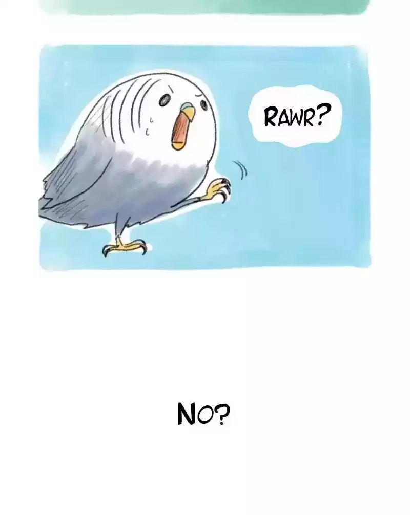 A Budgie's Life Chapter 48: Ep.48: