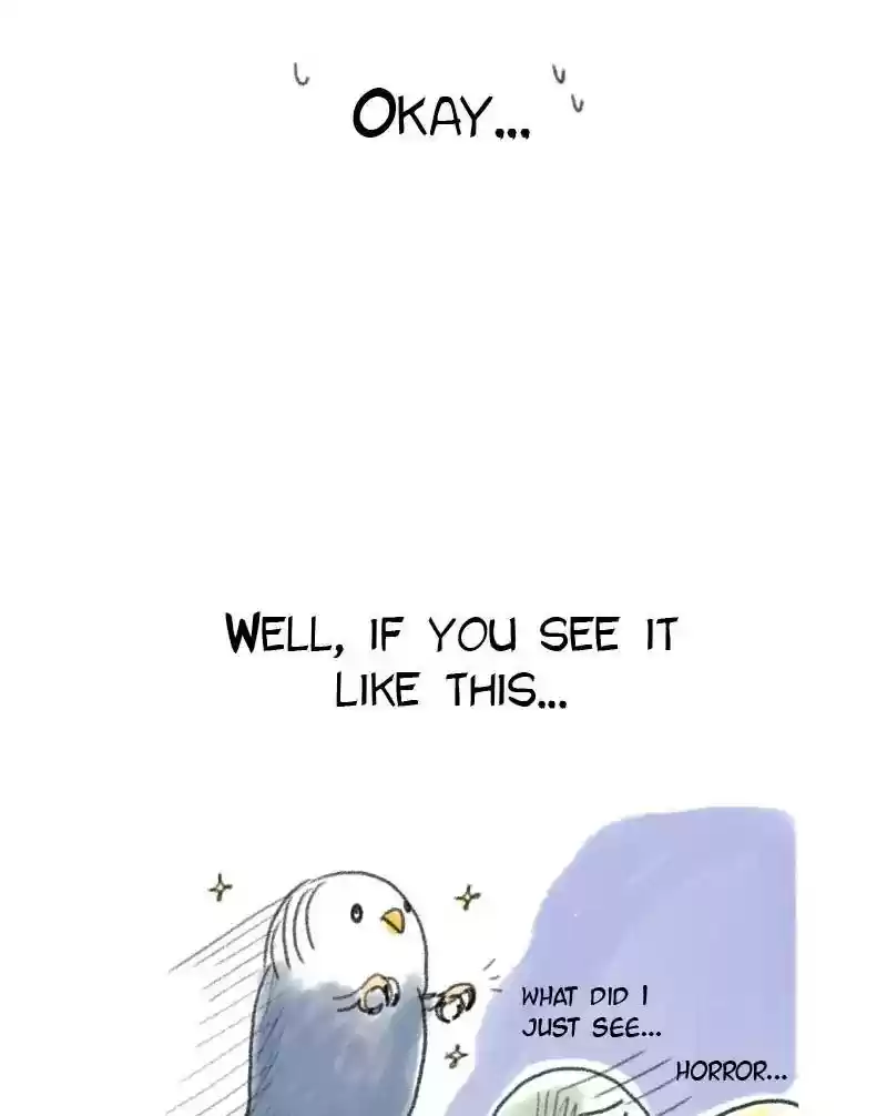 A Budgie's Life Chapter 48: Ep.48: