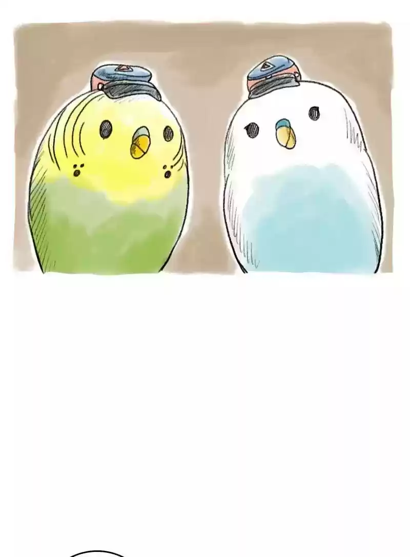 A Budgie's Life Chapter 49: Ep.49: