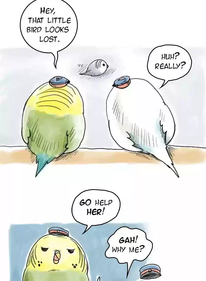 A Budgie's Life Chapter 49: Ep.49: