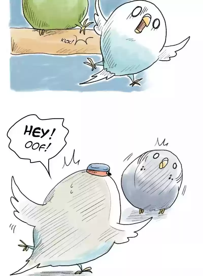 A Budgie's Life Chapter 49: Ep.49: