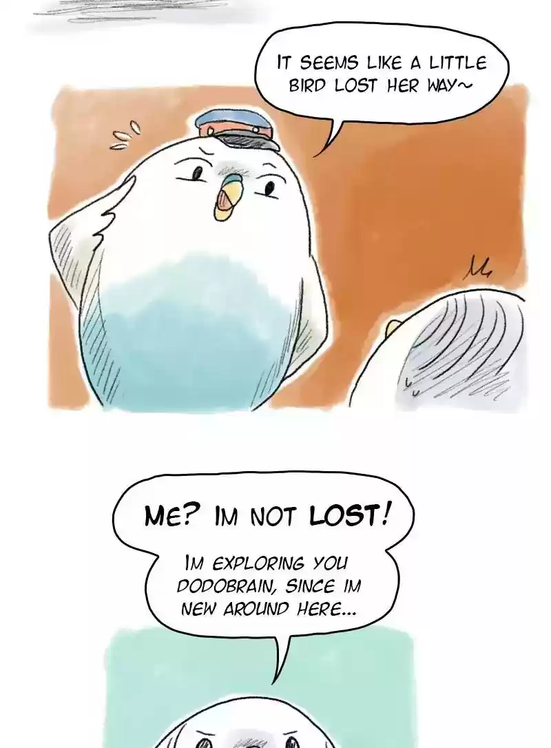 A Budgie's Life Chapter 49: Ep.49: