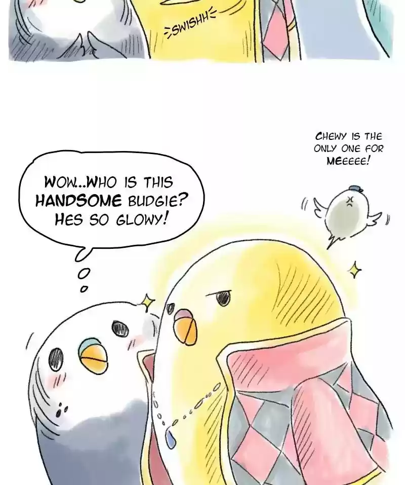 A Budgie's Life Chapter 49: Ep.49: