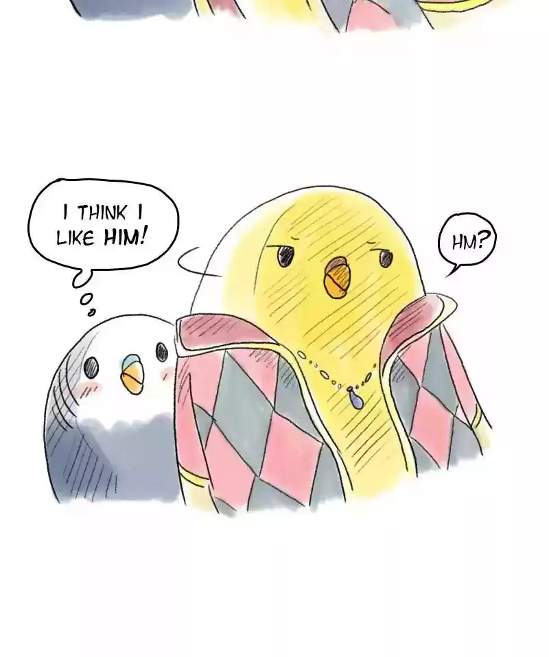 A Budgie's Life Chapter 49: Ep.49: