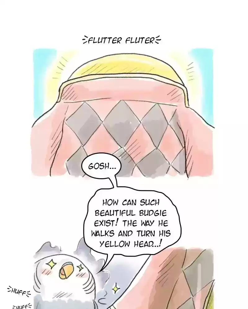 A Budgie's Life Chapter 49: Ep.49: