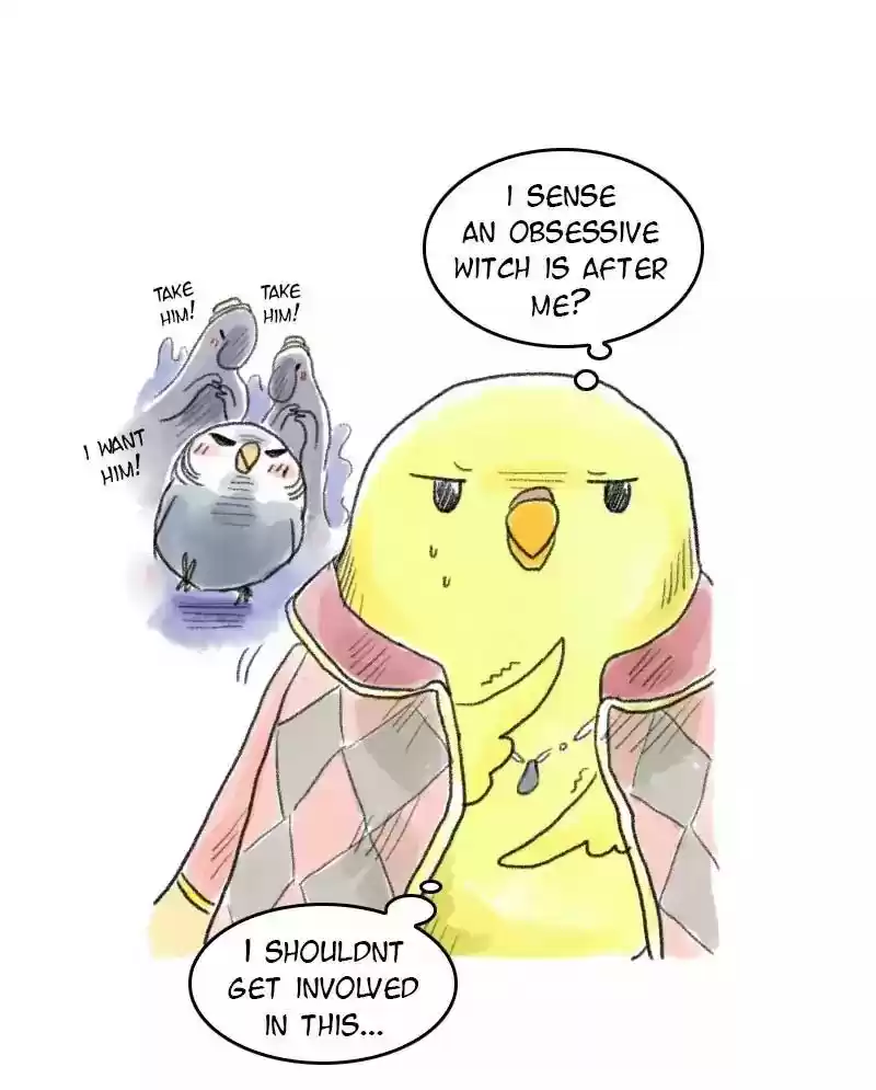 A Budgie's Life Chapter 49: Ep.49: