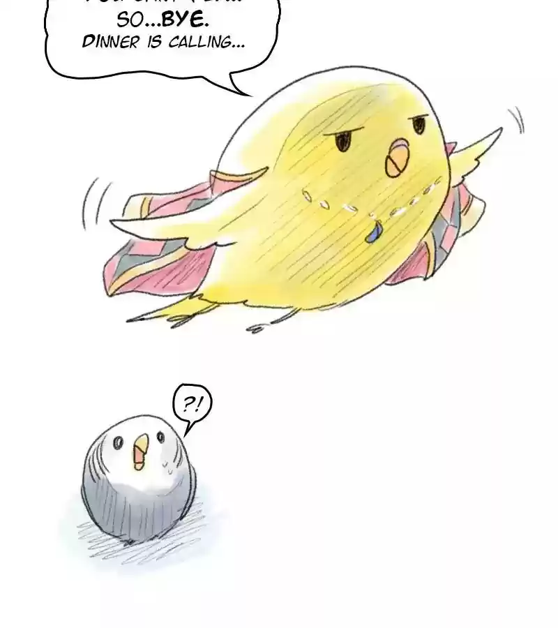 A Budgie's Life Chapter 49: Ep.49: