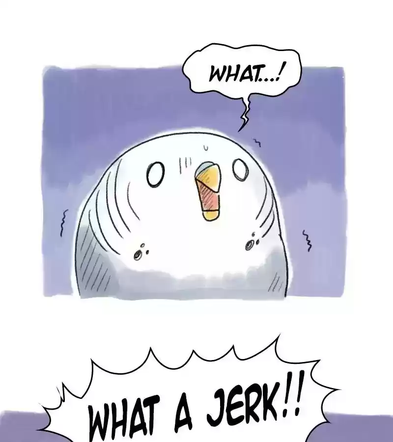 A Budgie's Life Chapter 49: Ep.49: