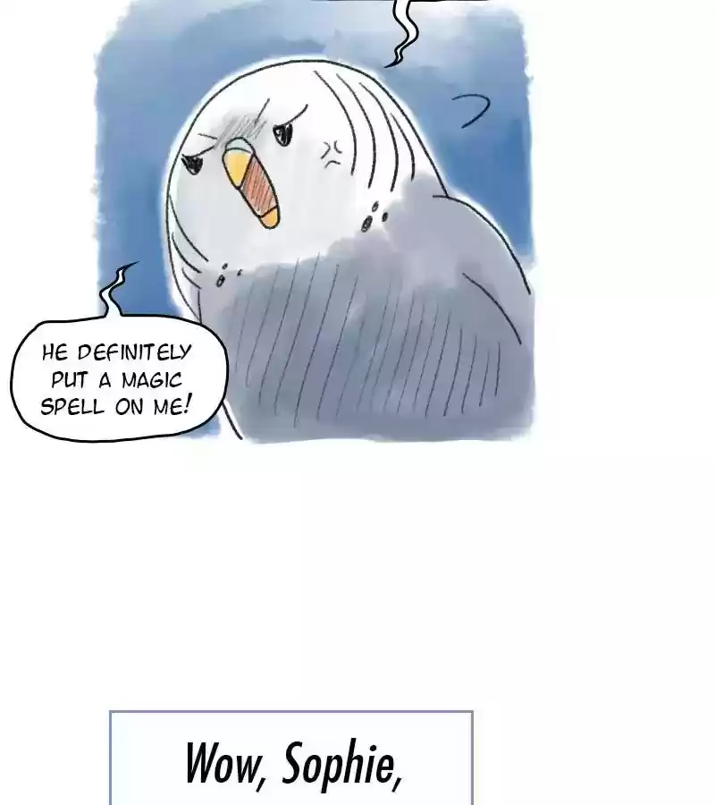 A Budgie's Life Chapter 49: Ep.49: