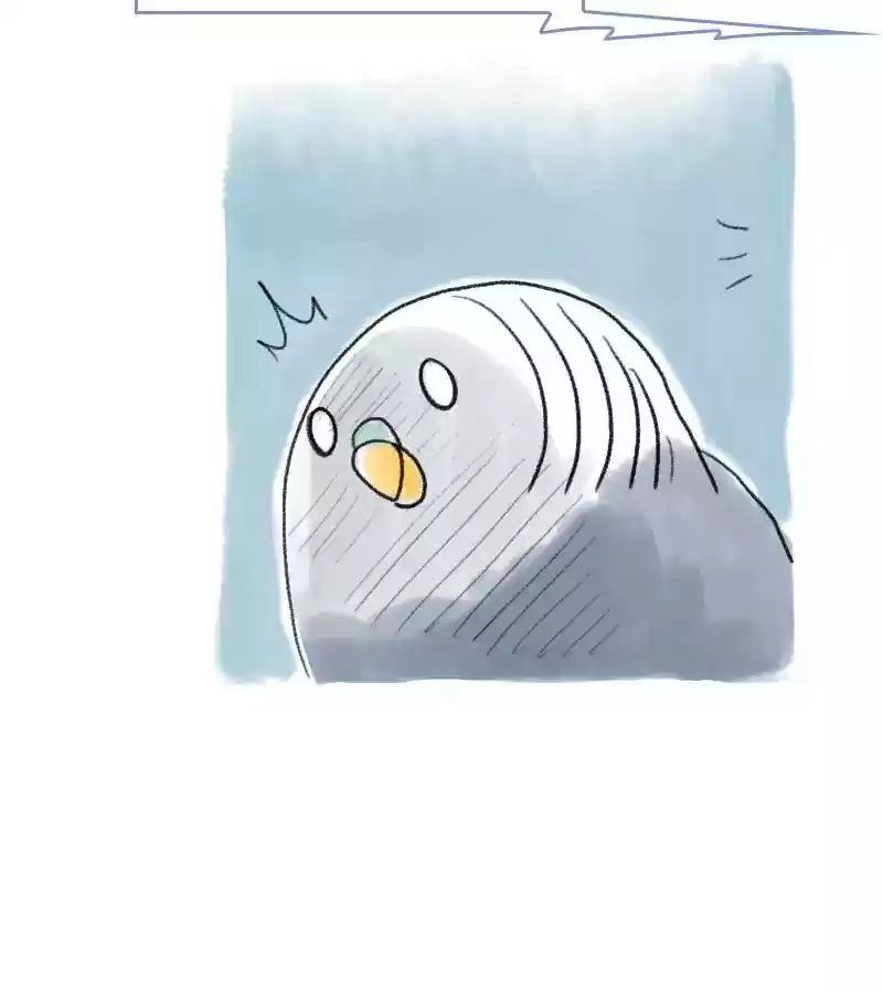 A Budgie's Life Chapter 49: Ep.49: