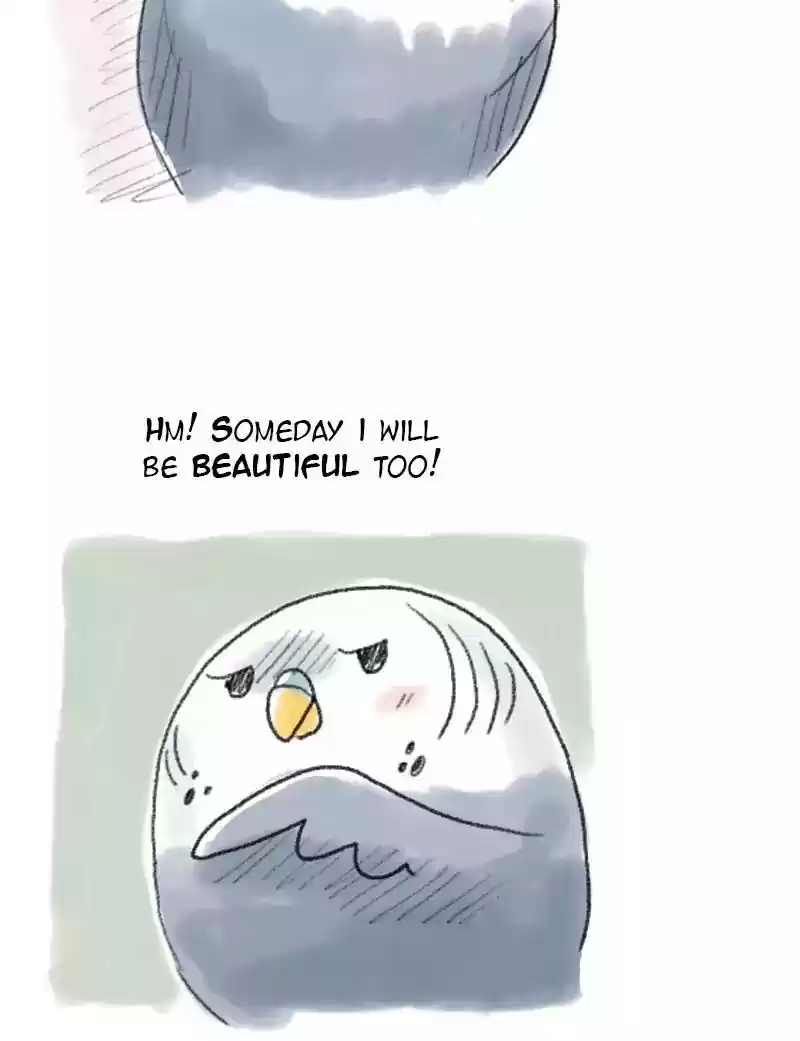 A Budgie's Life Chapter 49: Ep.49:
