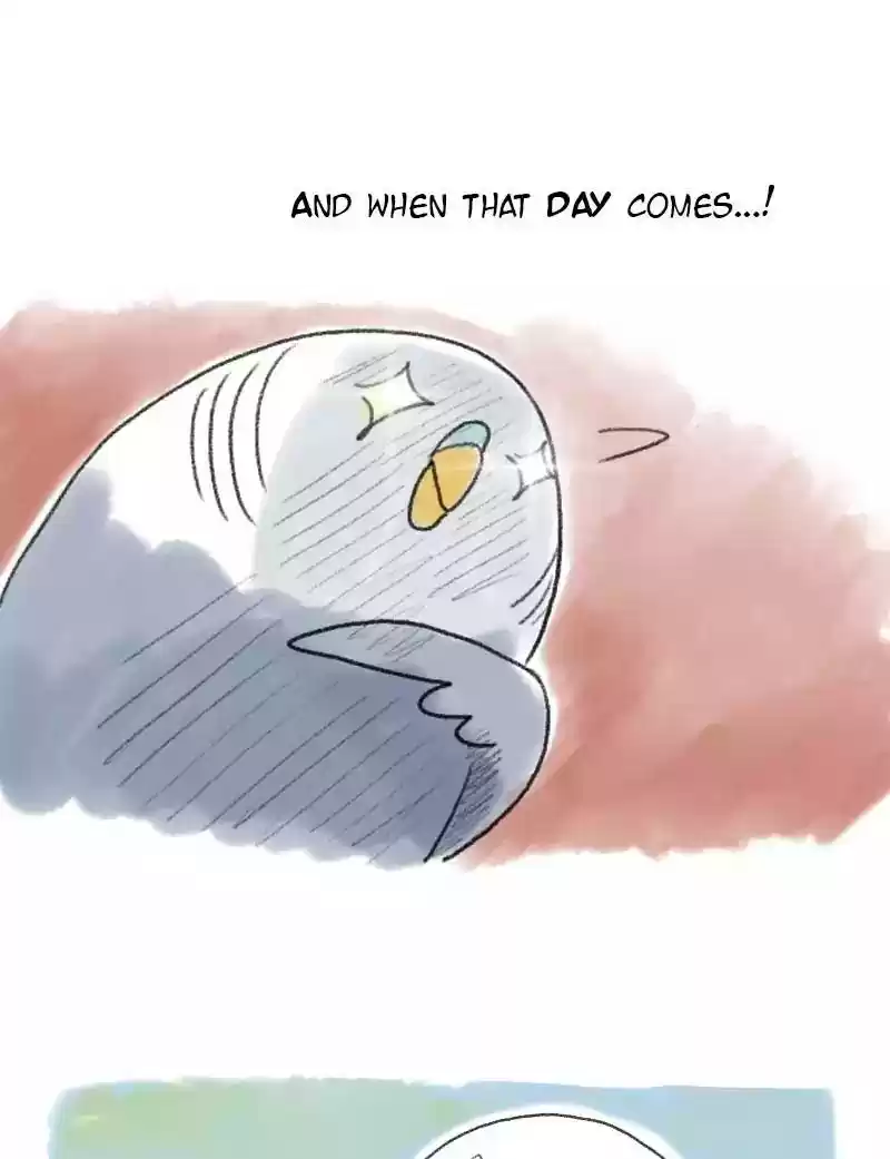 A Budgie's Life Chapter 49: Ep.49: