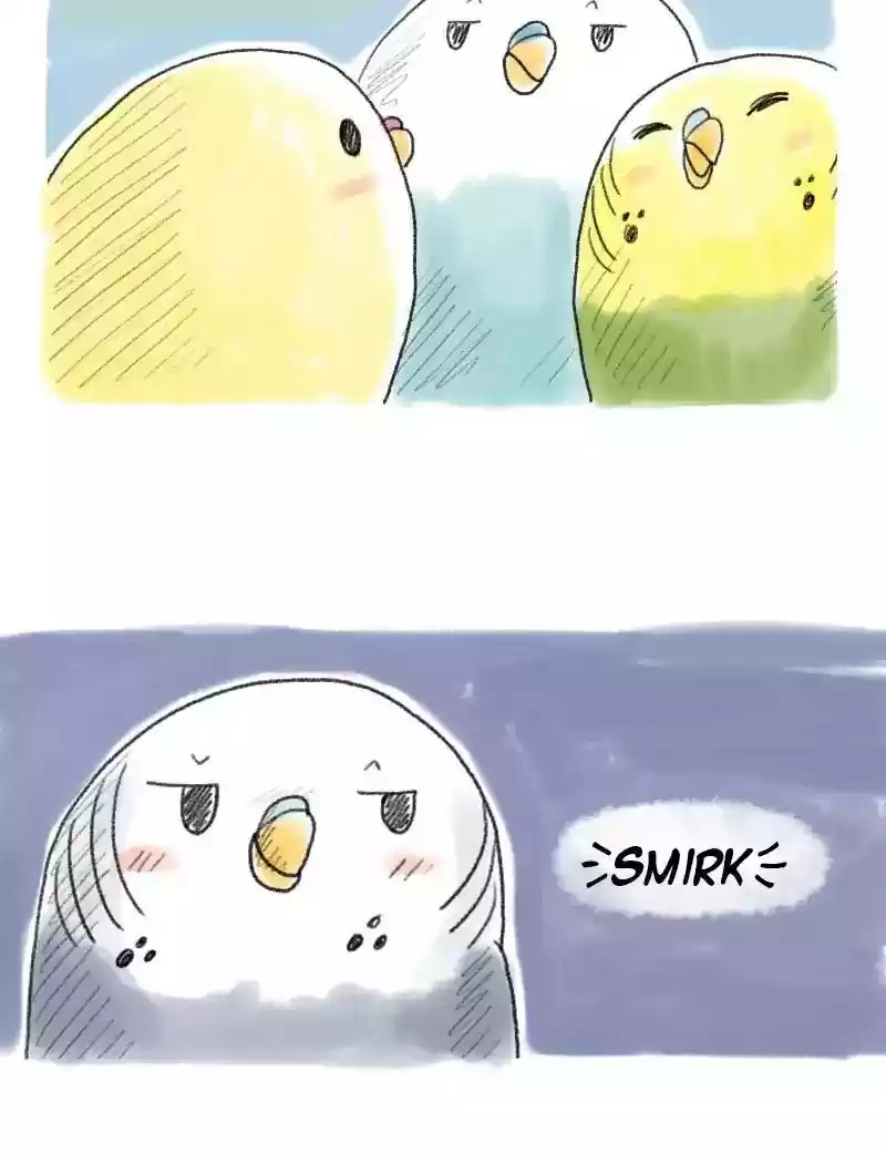 A Budgie's Life Chapter 49: Ep.49: