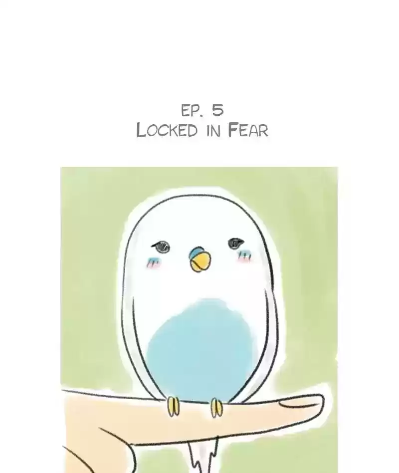 A Budgie's Life Chapter 5: Ep.5: