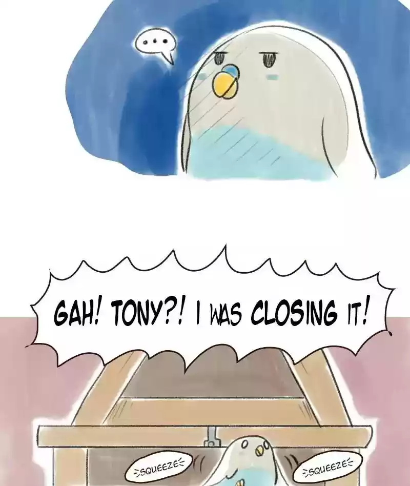 A Budgie's Life Chapter 5: Ep.5: