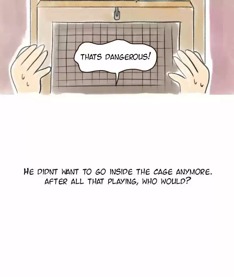 A Budgie's Life Chapter 5: Ep.5: