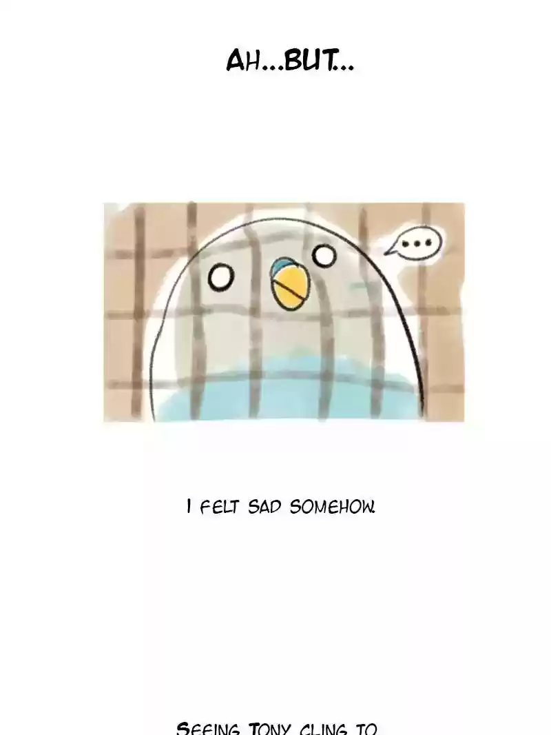 A Budgie's Life Chapter 5: Ep.5: