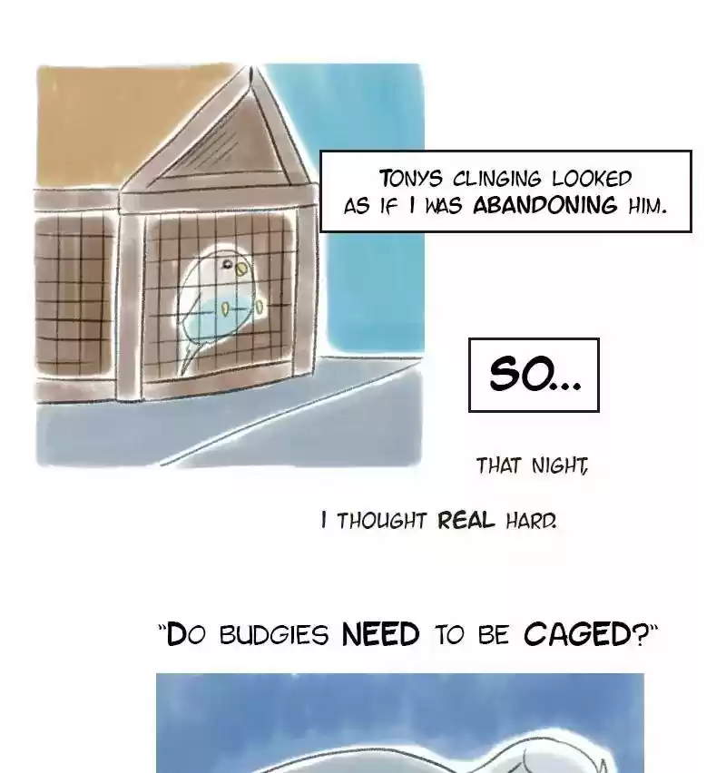 A Budgie's Life Chapter 5: Ep.5: