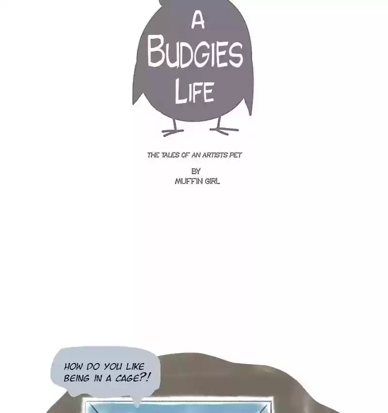 A Budgie's Life Chapter 5: Ep.5: