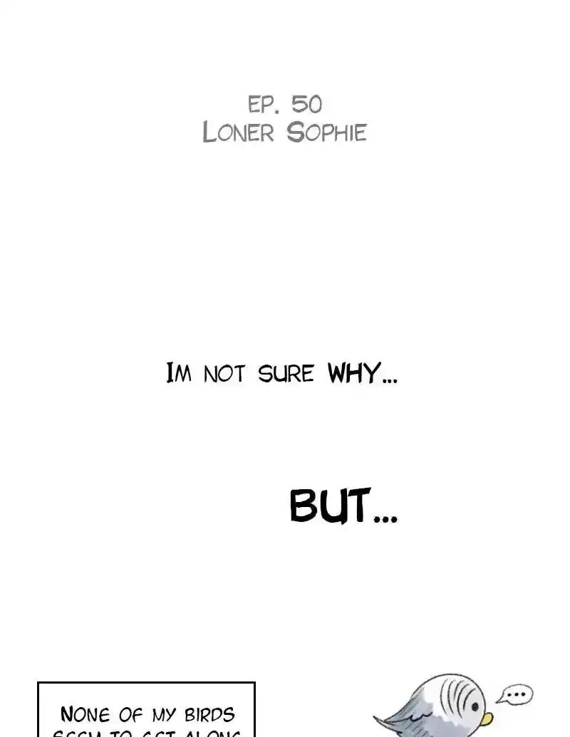 A Budgie's Life Chapter 50: Ep.50: