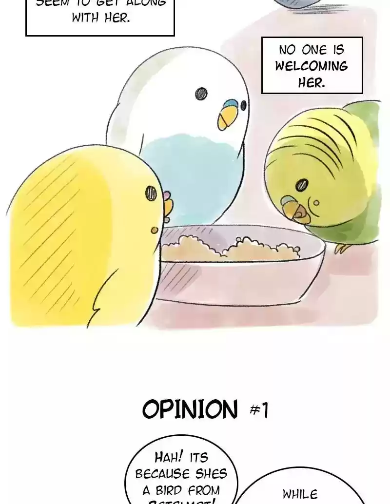 A Budgie's Life Chapter 50: Ep.50: